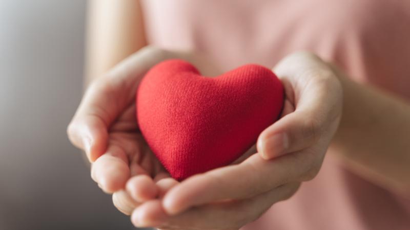 Wellness: Put your heart first - everyday habits for lifelong heart health