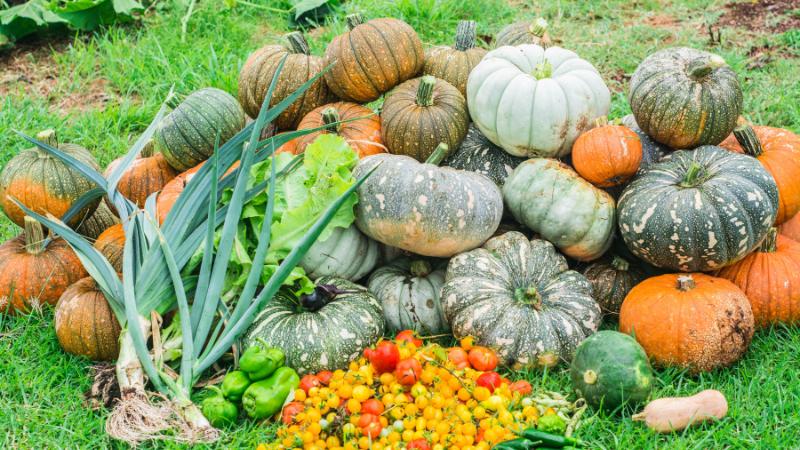 Food: Eating for the environment